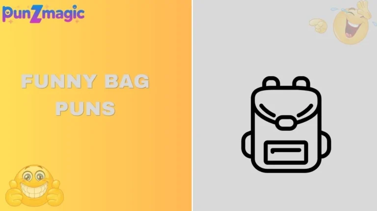Funny Bag Puns