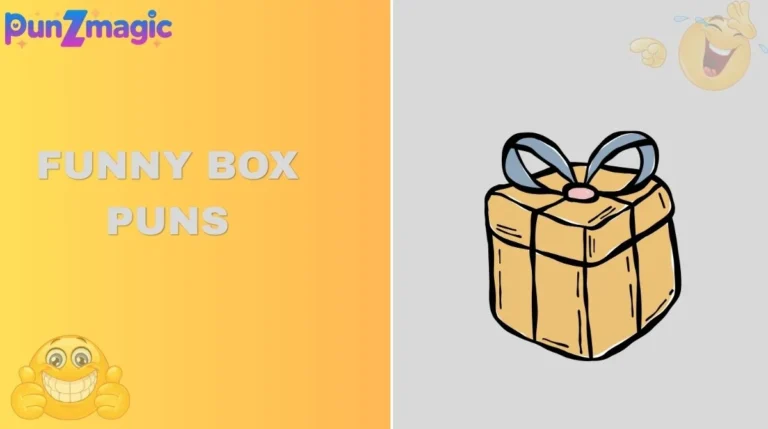 Funny Box Puns