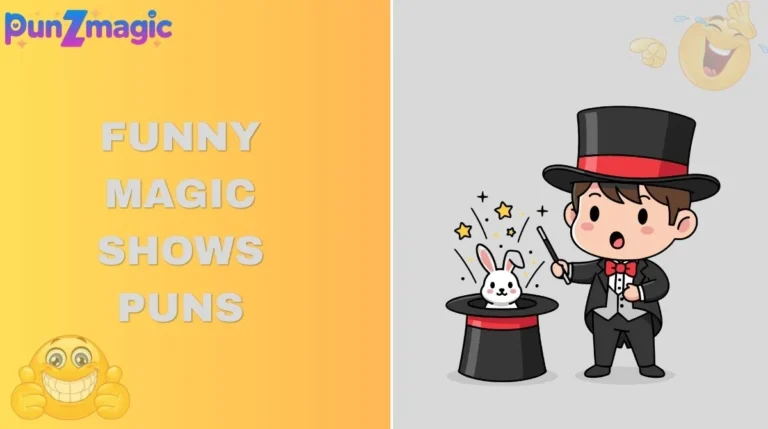 Funny Magic Shows Puns