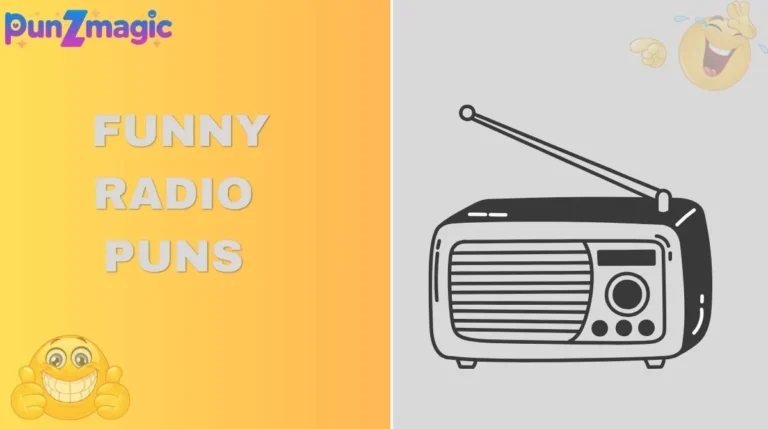 Funny Radio Puns