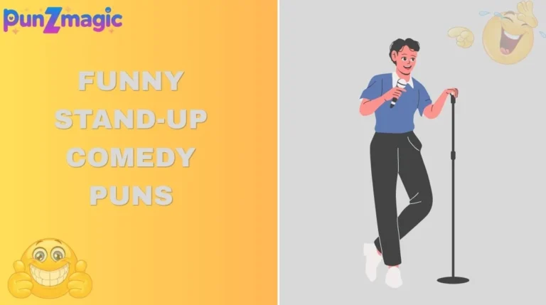 Funny Stand-Up Comedy Puns