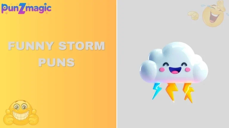 Funny Storm Puns