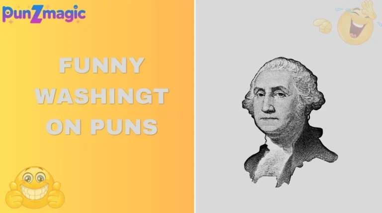 Funny Washington Puns