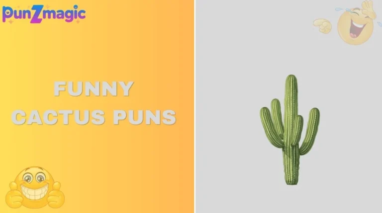Funny Cactus Puns