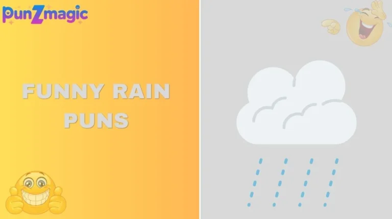 Funny Rain Puns