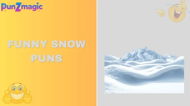 Funny Snow Puns