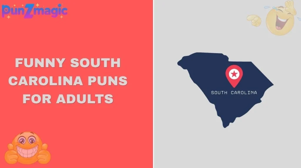 Funny South Carolina Puns for Adults