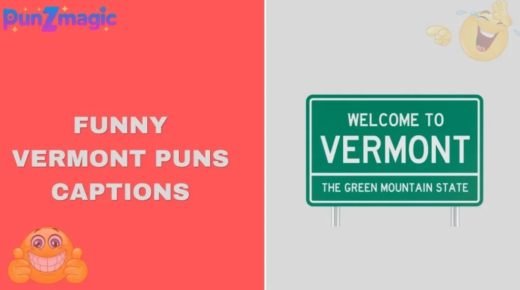 Funny Vermont Puns Captions