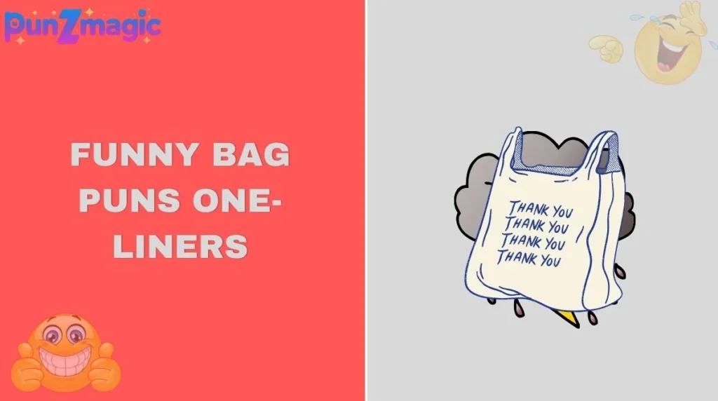 Funny Bag Puns One-Liners