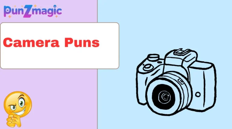 Camera Puns